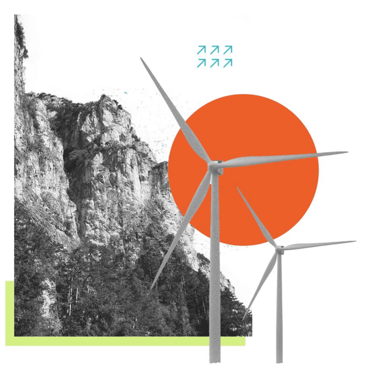 Ecodhyog advisory services overview
