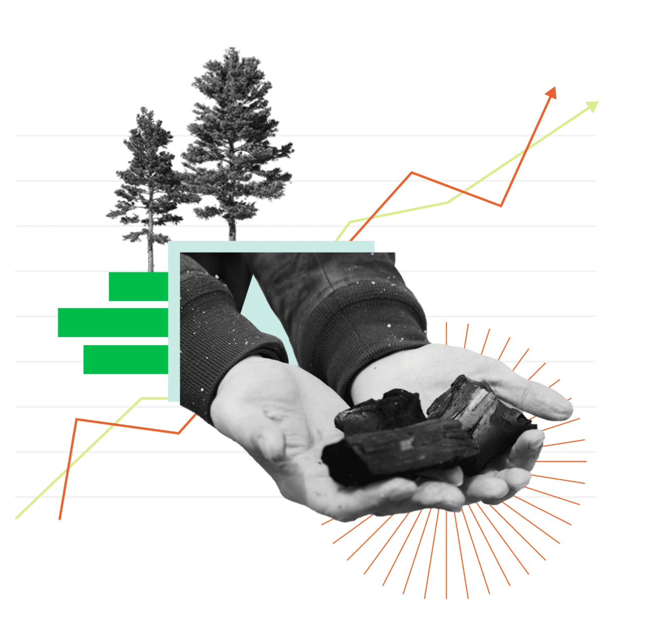 Ecodhyog ecosystem support